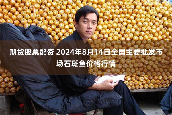 期货股票配资 2024年8月14日全国主要批发市场石斑鱼价格行情