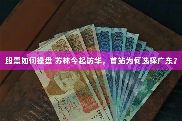 股票如何操盘 苏林今起访华，首站为何选择广东？