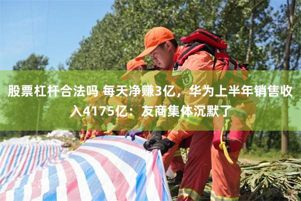 股票杠杆合法吗 每天净赚3亿，华为上半年销售收入4175亿：友商集体沉默了