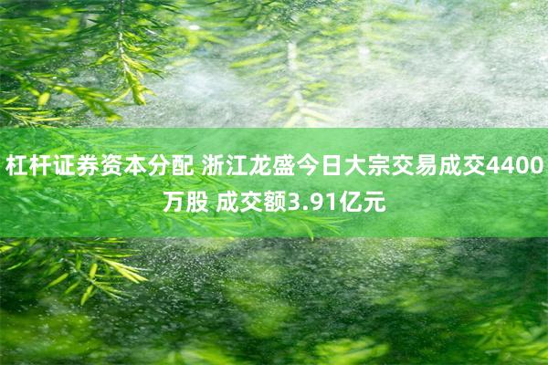 杠杆证券资本分配 浙江龙盛今日大宗交易成交4400万股 成交额3.91亿元