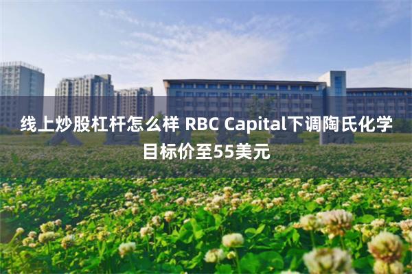 线上炒股杠杆怎么样 RBC Capital下调陶氏化学目标价至55美元