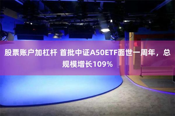 股票账户加杠杆 首批中证A50ETF面世一周年，总规模增长109%