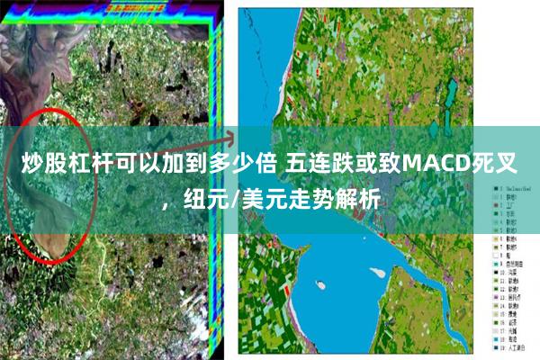 炒股杠杆可以加到多少倍 五连跌或致MACD死叉，纽元/美元走势解析