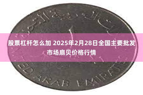 股票杠杆怎么加 2025年2月28日全国主要批发市场扇贝价格行情