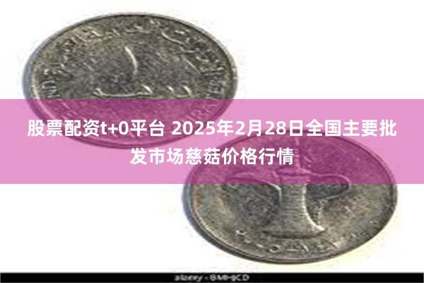 股票配资t+0平台 2025年2月28日全国主要批发市场慈菇价格行情