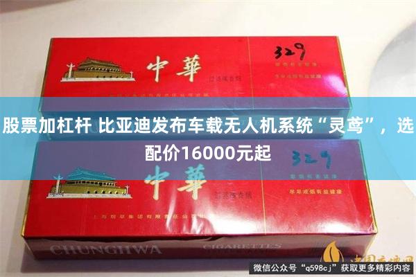 股票加杠杆 比亚迪发布车载无人机系统“灵鸢”，选配价16000元起