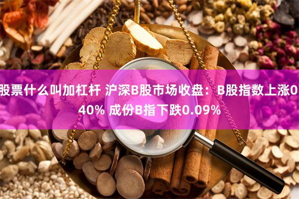 股票什么叫加杠杆 沪深B股市场收盘：B股指数上涨0.40% 成份B指下跌0.09%