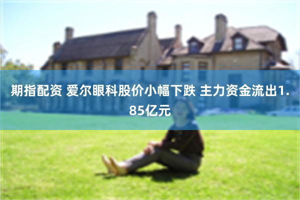 期指配资 爱尔眼科股价小幅下跌 主力资金流出1.85亿元