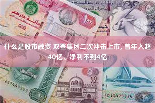 什么是股市融资 双登集团二次冲击上市, 曾年入超40亿、净利不到4亿